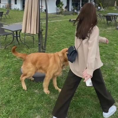 沙克尔顿